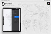 BUNDLE Watercolor Procreate Brushes, a Brush Add-On by Les Frolova (Thumbnail 7 of 17)