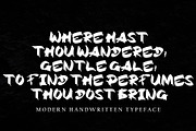 Helena, a Handwritten Font by pineungtype (Thumbnail 3 of 6)