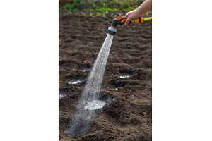 watering in the garden. Selective, a Nature Photo by yanadjana