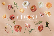 Floral Art Collection - Mimosa, an Object Graphic by Eclectic Anthology (Thumbnail 7 of 11)