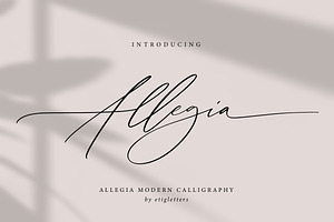 Allegia Handwritten Wedding Font