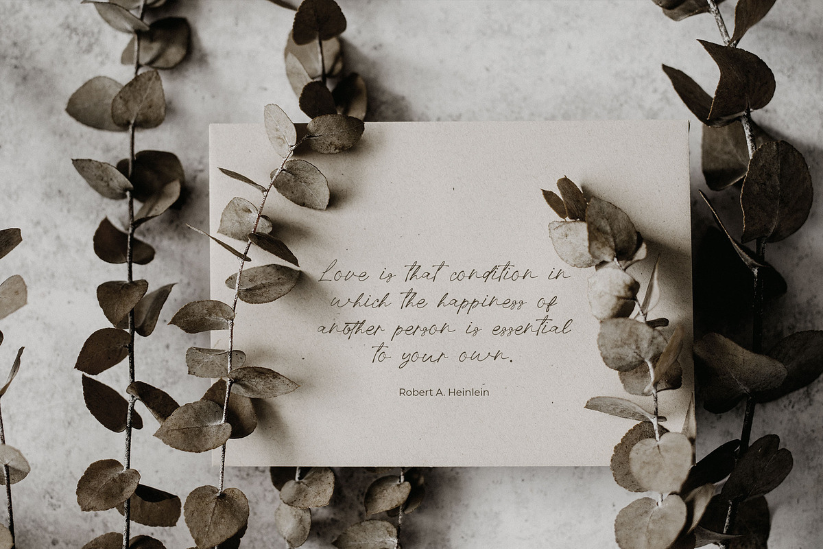 Pellegrie Signature - Script, a Script Font by Krakenbox Studio (Photo 8 of 12)