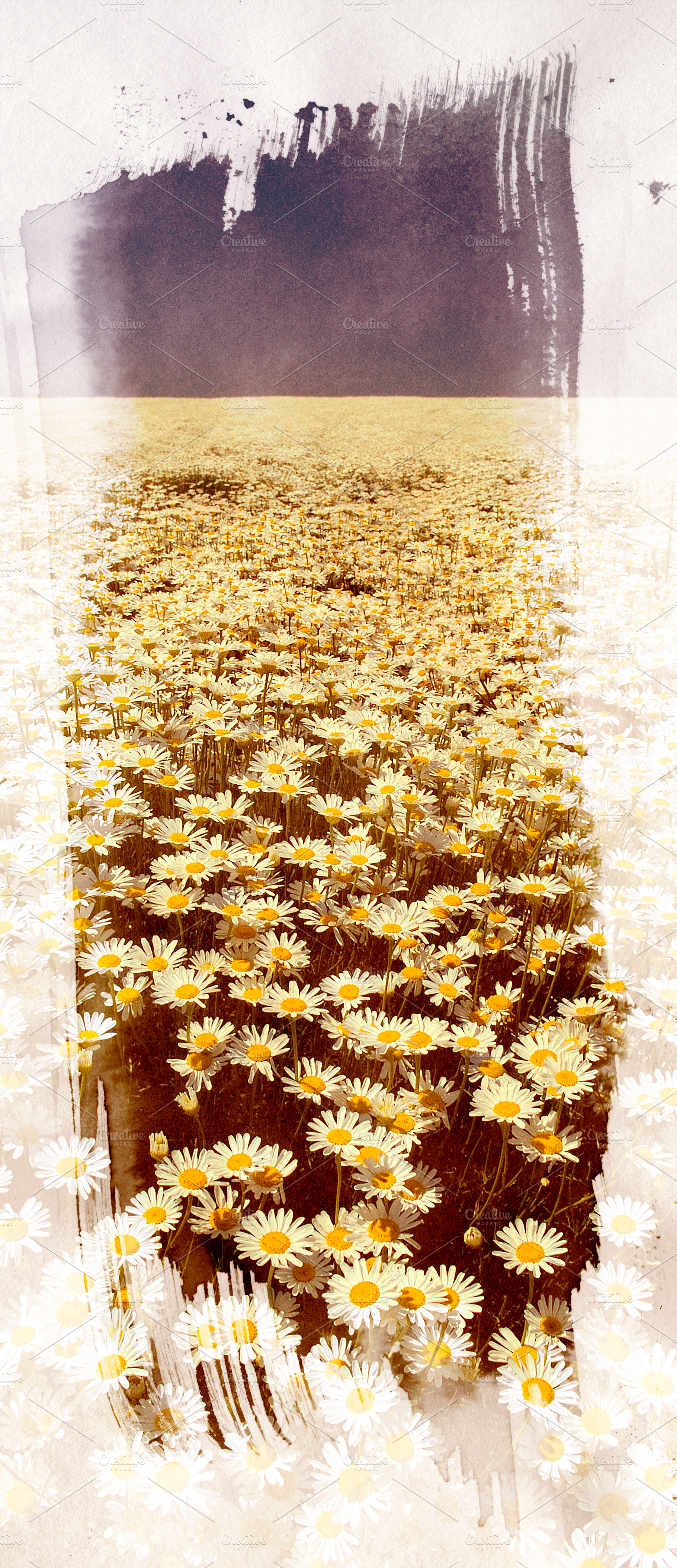 Flower Painting, a Nature Photo by THP Creative