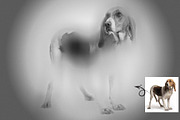 Blur Focus Photo Effect, an Action Add-On by MRI STUDIO (Thumbnail 6 of 13)
