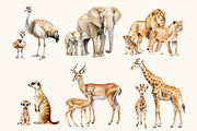 Watercolor Safari Animals Clipart, an Animal Illustration by Primrose Blume (Thumbnail 3 of 6)