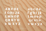Anemone | Vintage Serif, a Serif Font by Pentagonistudio (Thumbnail 9 of 11)