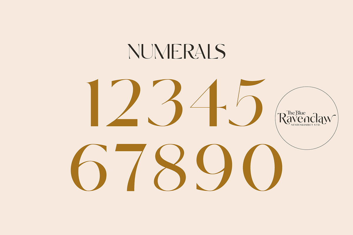 The Blue Ravenclaw - Stylistic Sans, a Sans Serif Font by NendesKombet Studio (Photo 13 of 16)