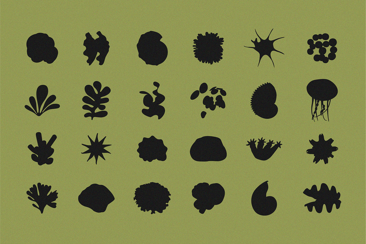 Ocean's Treasure 24 Shapes & Masks, an Object Graphic by line & plane (Photo 2 of 10)