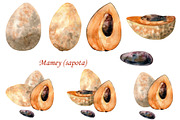Watercolor tropical fruits., an Illustration by TaPilipa (Thumbnail 26 of 39)