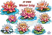 Water Lily Clipart, an Object Graphic by DreamerStarCo (Thumbnail 1 of 6)