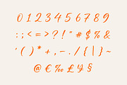 Bellorie | Modern Handwritten Font, a Handwritten Font by Typoraith Co (Thumbnail 5 of 11)