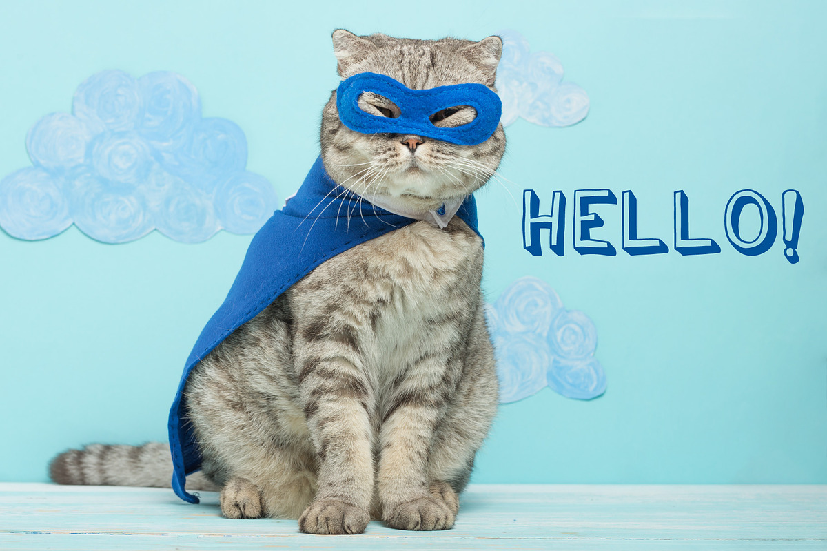 Cat in a superhero costume, an Animal Photo by AnStore (Photo 2 of 3)