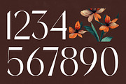 Stogne Gesture Modern Luxury Font, a Sans Serif Font by timelesstype.co (Thumbnail 15 of 20)