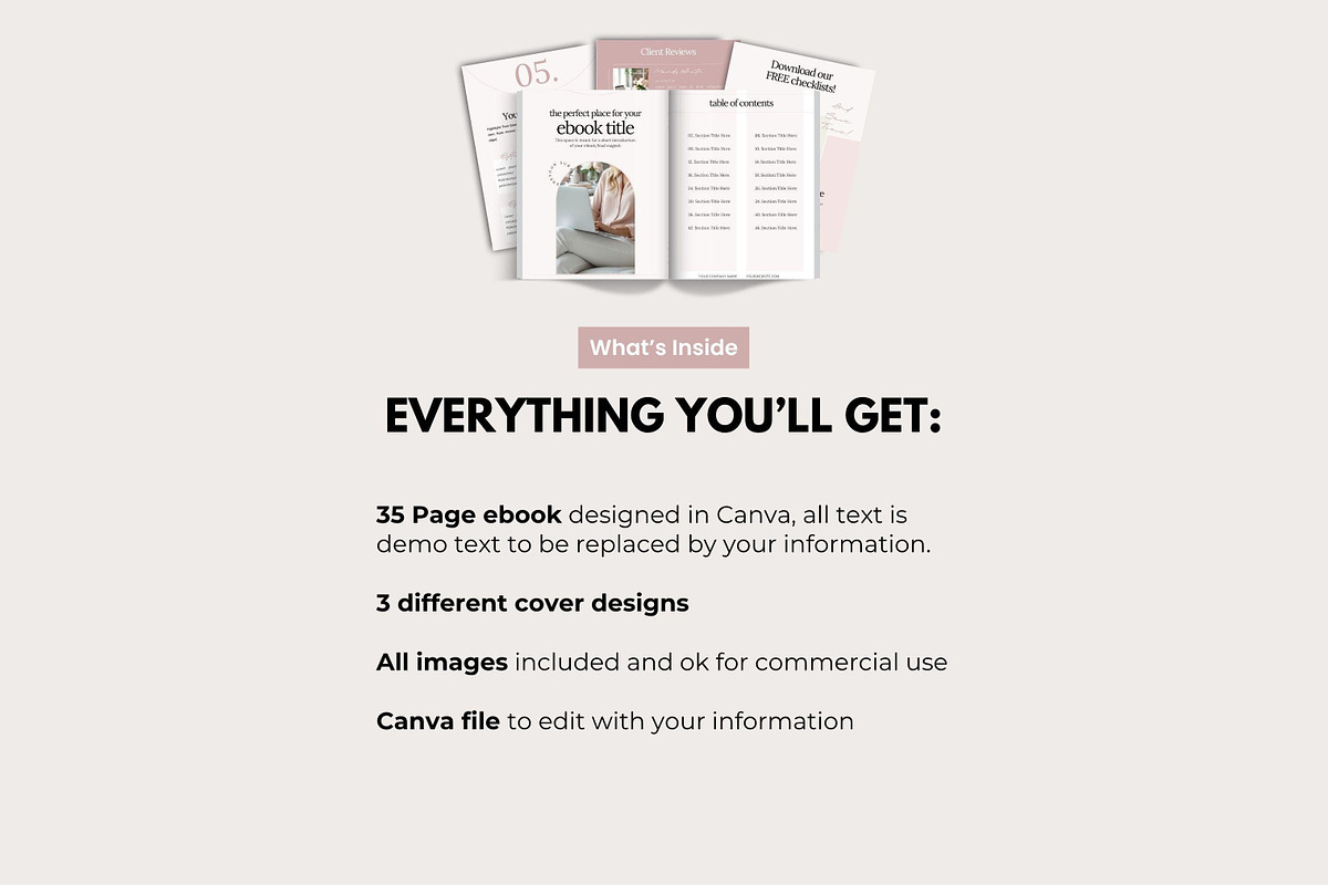 Canva Template Blush Lead Magnet, a Marketing Template by Hayley's Digital Hub (Photo 9 of 10)