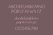 65% OFF-Large Pattern + Font Bundle, a Pattern Graphic by The Collective Studio (Thumbnail 18 of 21)