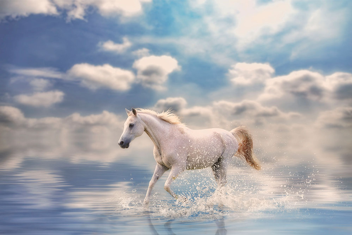 20 - Gorgeous Sky & Waters Overlays, an Object Graphic by DareToDream (Photo 3 of 5)