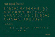 Vantique - Serif Font, a Serif Font by Alpaprana (Thumbnail 9 of 10)