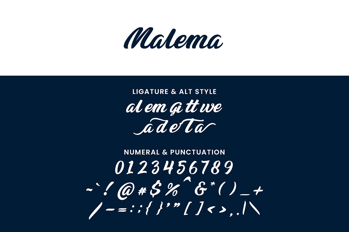 Malema Handwritten Script Font, a Script Font by Maulana Creative (Photo 4 of 10)
