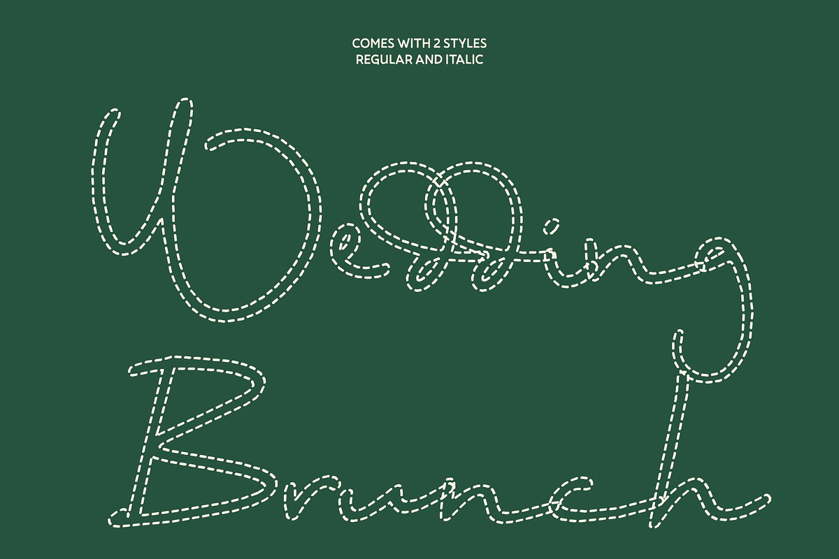 CS Wardine Dashed, a Script Font by Craft Supply Co. (Photo 4 of 8)