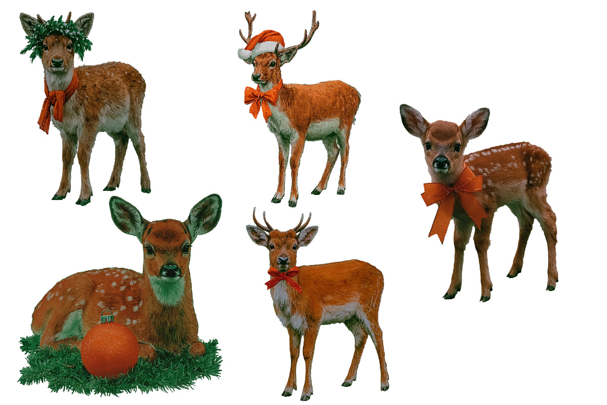 Christmas Reindeer Clipart, an Illustration by Designworld (Photo 4 of 5)
