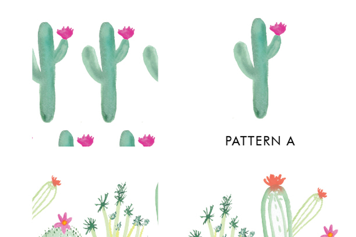 Watercolor Succulents and Cactus, an Illustration by Erika Firm (Photo 4 of 5)