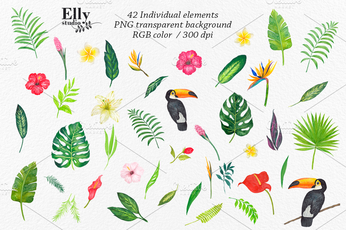 Watercolor Tropical Clip Art, an Illustration by Elly Studio (Photo 8 of 9)
