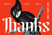 Helosa Modern Blackletter Font, a Blackletter Font by timelesstype.co (Thumbnail 20 of 20)