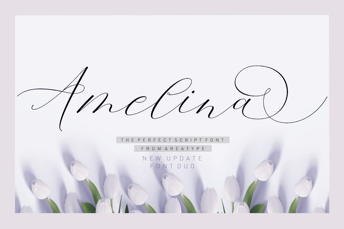 Amelina Script New Update Font Duo, a Script Font by Areatype (Photo 1 of 9)