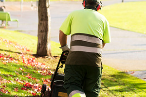 Lawn mower gardener stock photo containing grass and lawn