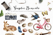 Vigorous Spring-Graphic Design Set, an Animal Illustration by Graphic Box (Thumbnail 6 of 9)