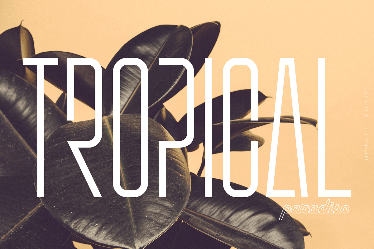 Gumok, a Sans Serif Font by Linecreative (Photo 8 of 8)