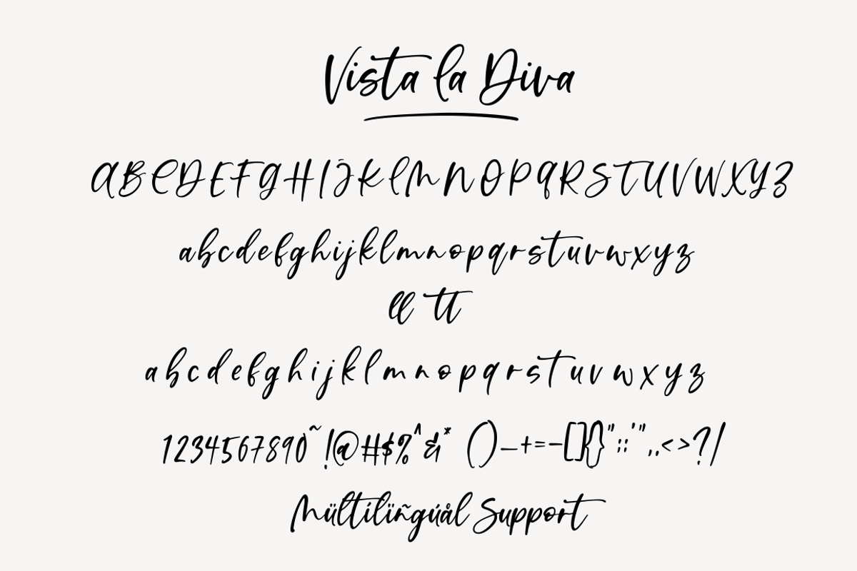 Vista La Diva, a Script Font by Sronstudio (Photo 9 of 9)