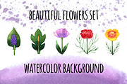 Watercolor flower set, a Decorative Illustration by Marina Zabrodina (Thumbnail 1 of 4)