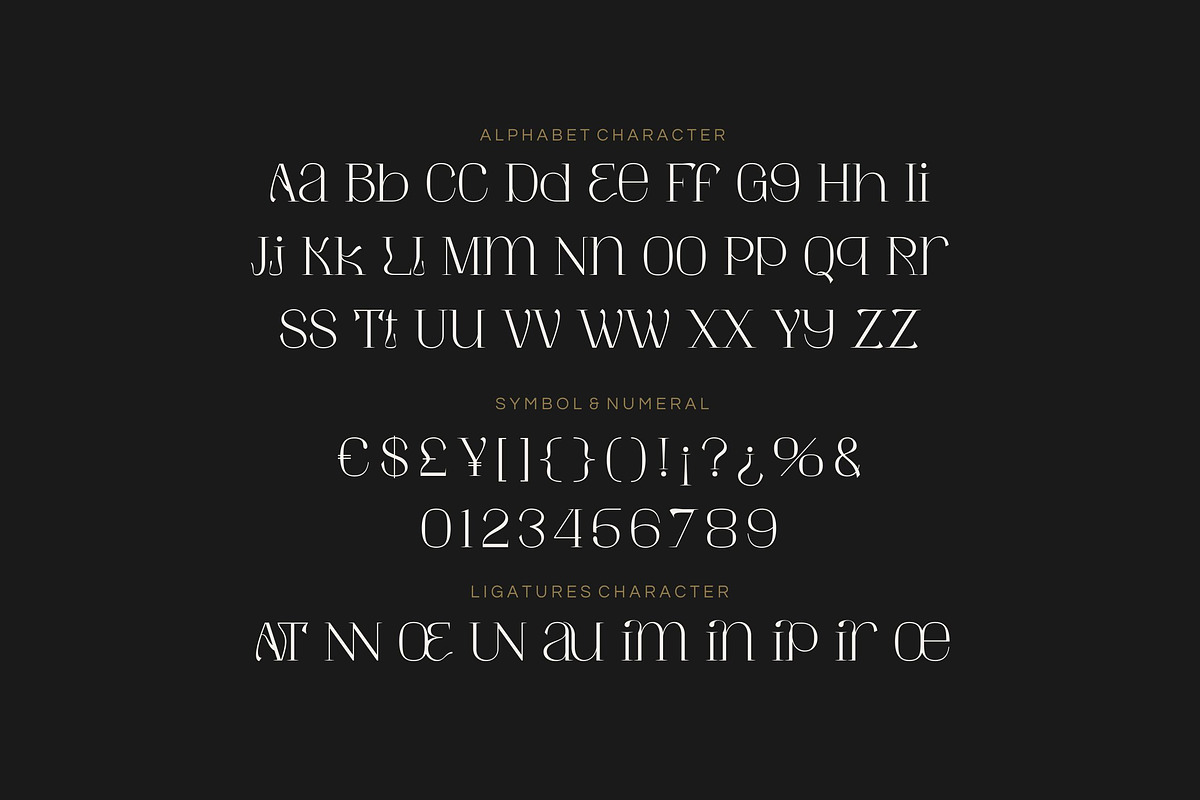 Amory Moist - Aesthetic Modern Font, a Serif Font by Fype Co. (Photo 5 of 5)
