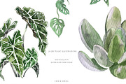 Stay Home & Love Plants Collection, a Decorative Illustration by Cat In Colour (Thumbnail 3 of 10)