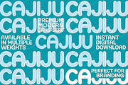 Cajiju - Sophisticated Serif, a Serif Font by Astuti Studio (Thumbnail 15 of 24)