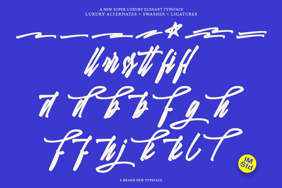 Lettering Editorial + Swashes, a Script Font by IM Studio (Photo 7 of 9)