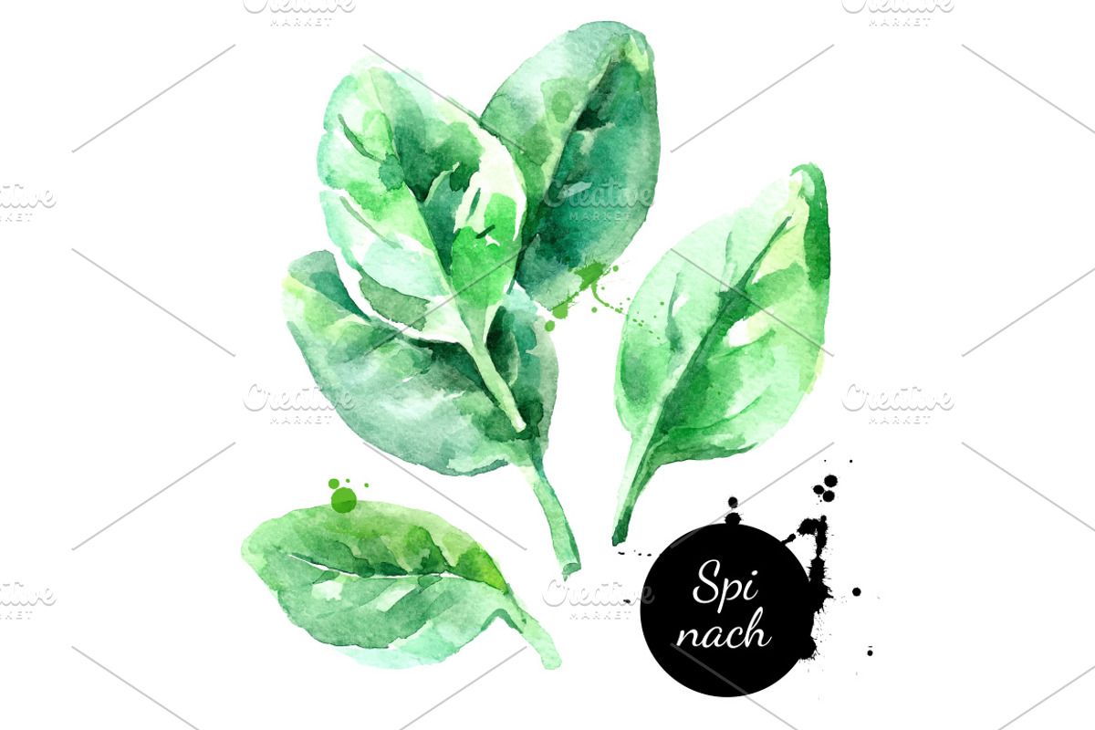 Watercolor Ingredients Vector Set, a Food Illustration by Elena Pimonova (Photo 4 of 4)