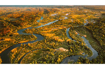 Aerial View Green Forest Woods And, a Nature Photo by Our Amazing World
