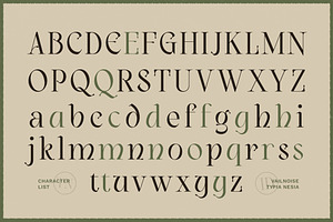 Vailnoise - Classic Vintage Serif