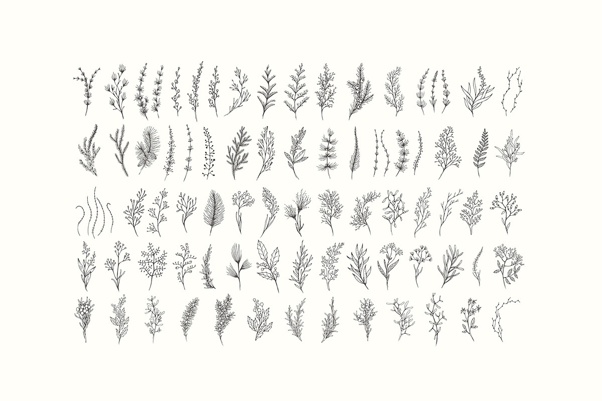 Winter Foliage collection, a Decorative Illustration by Merfin (Photo 11 of 14)