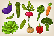 Vector vegetables and patterns, a Background Graphic by Alenarozova (Thumbnail 1 of 3)