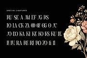 Black Cruise - Luxury Ligature Serif, a Serif Font by RagamKata (Thumbnail 8 of 10)