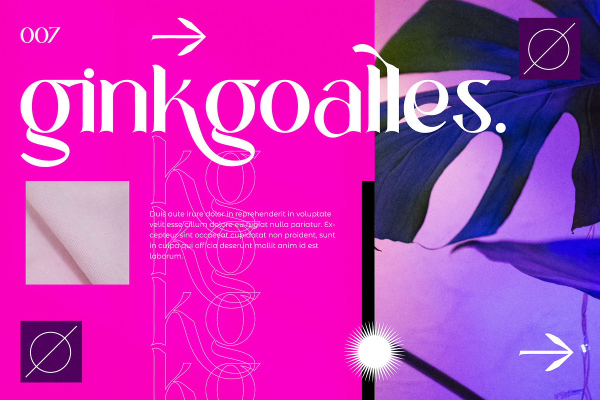 Layne Rogan - Display Font, a Font by Eztudio (Photo 5 of 14)
