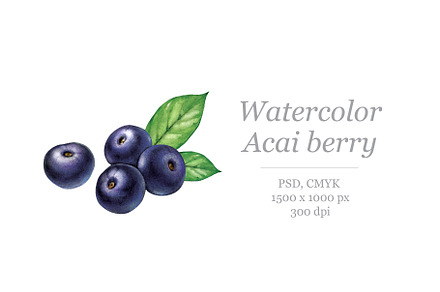 Watercolour Acai berry