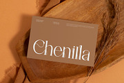 Sanely || Modern Classy Serif Font, a Serif Font by Ermedia Studio (Thumbnail 9 of 10)