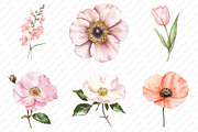 Watercolor Blush Wild Flowers, an Illustration by Watercolor design (Thumbnail 4 of 12)