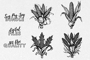 Corn Svg - Corn Clipart, an Illustration by YouniqueArtwork (Thumbnail 1 of 5)