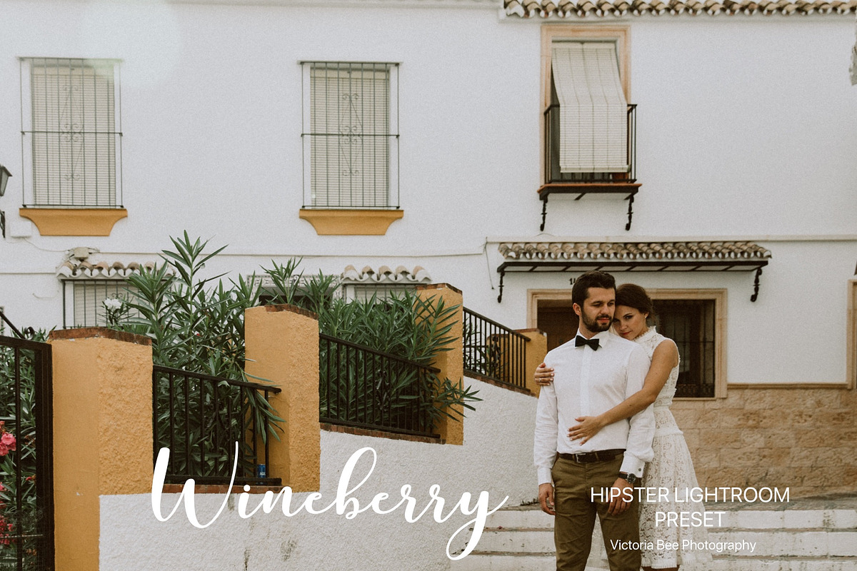Desktop Lightroom Presets WINEBERRY preview 3