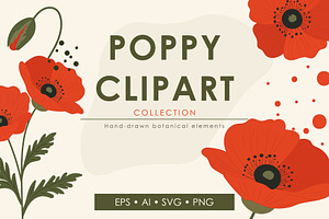 Poppy Flower Clipart Collection